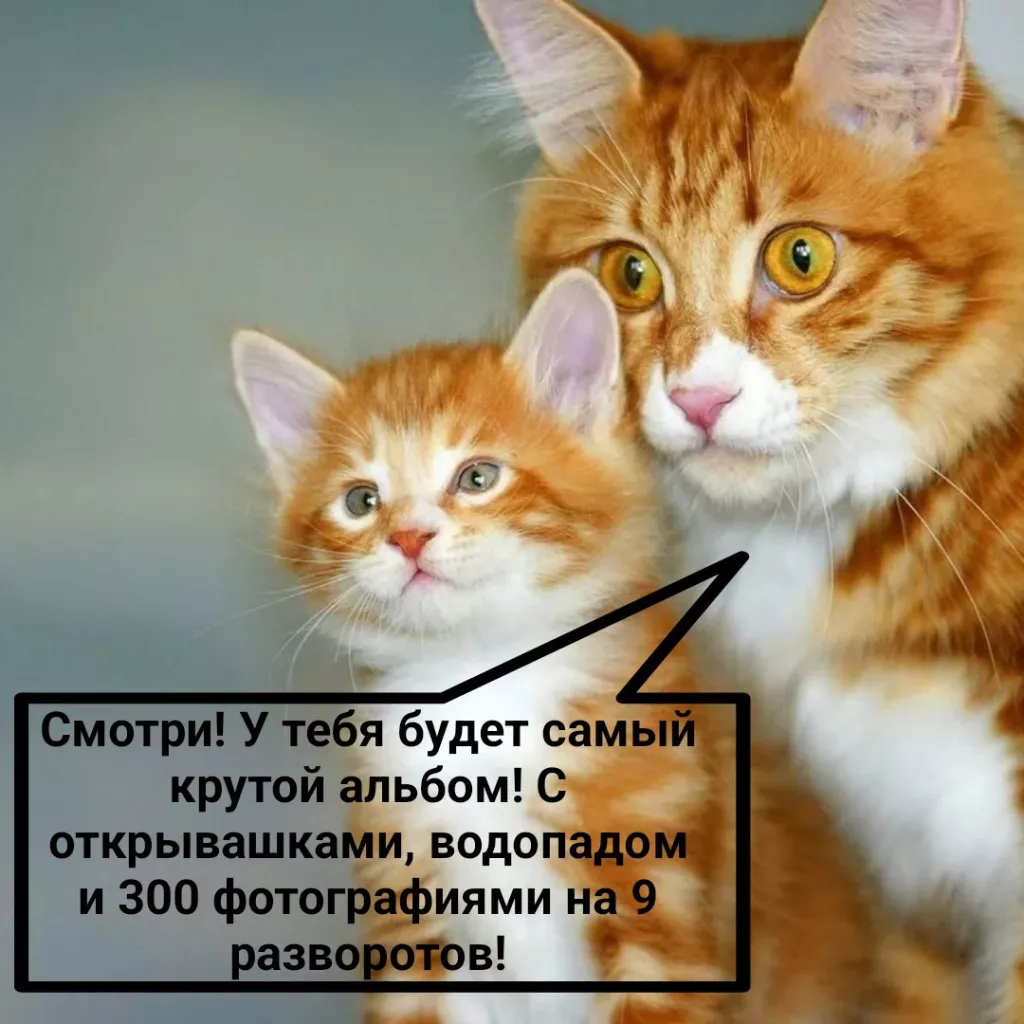 bRSq_2NvXBQ.jpg