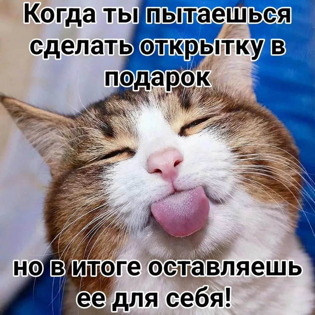 8AT1ytuU9hg.jpg