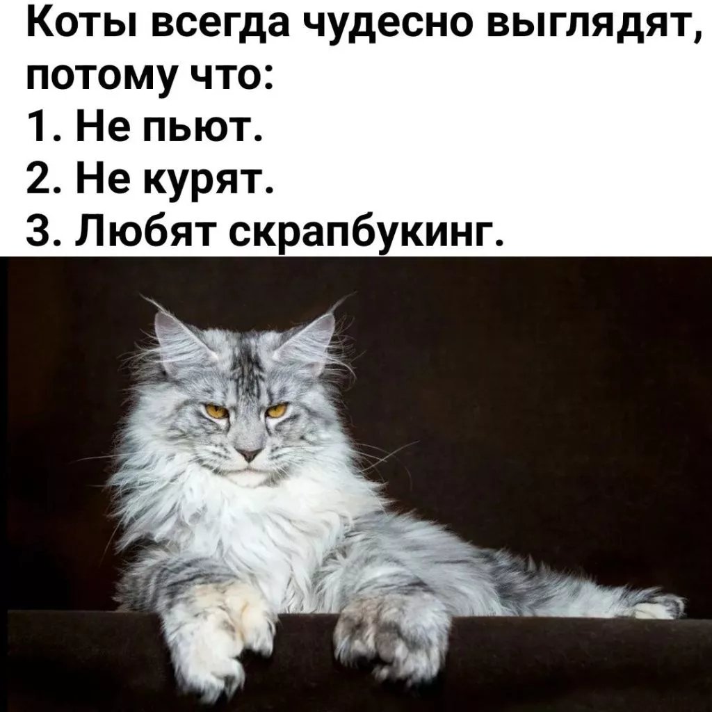 dD9lideAIT4.jpg