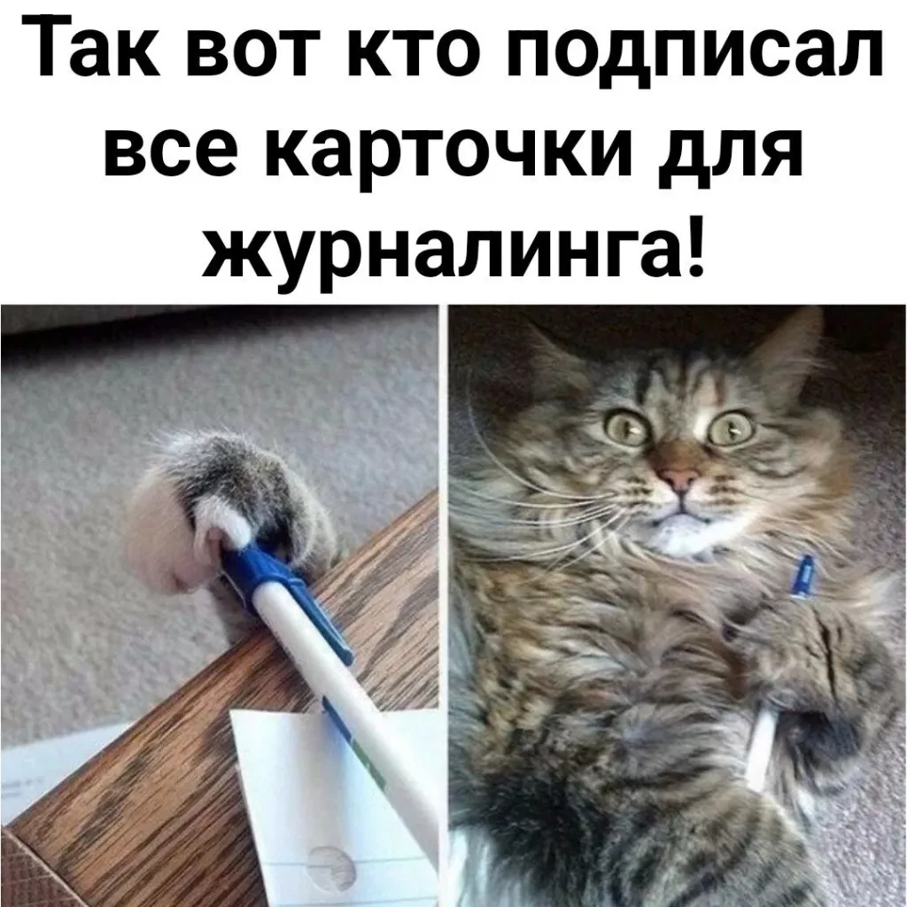 rtHRep3oYnI.jpg
