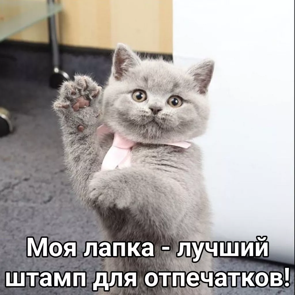 CWeexou2AfU.jpg