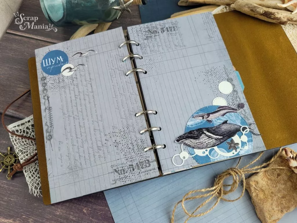scale_120022.jpg scale_120022.jpg
