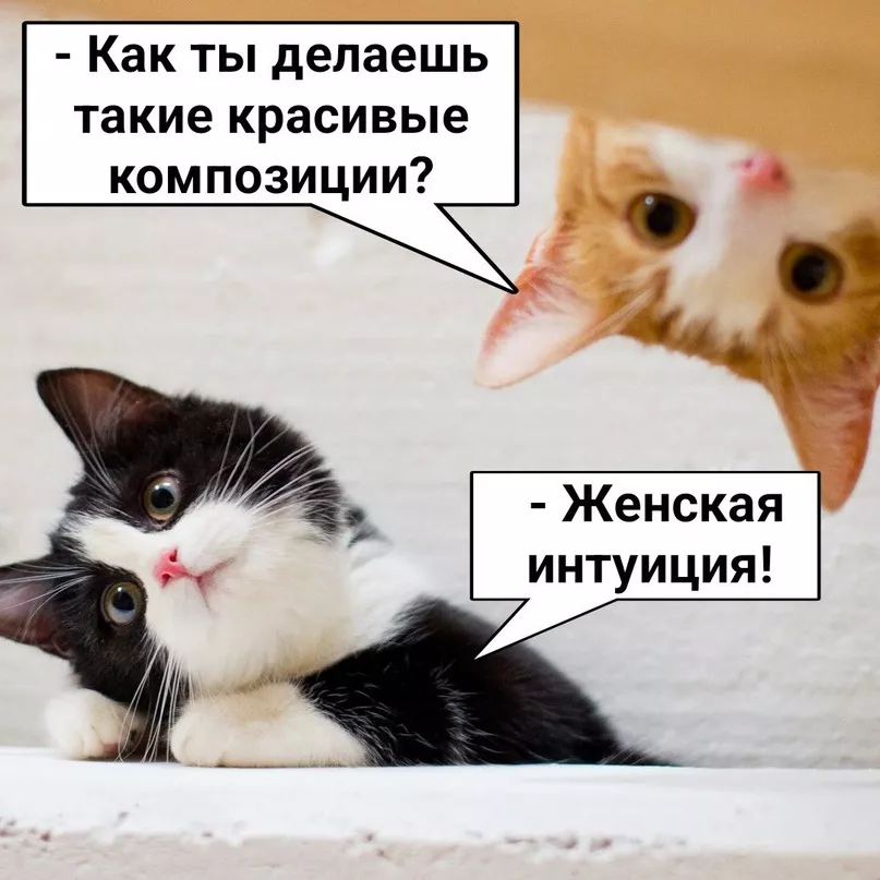 zEWzahiIi3Q.jpg