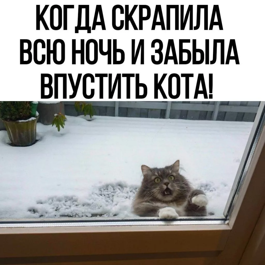 QOAlZF1IC0g.jpg