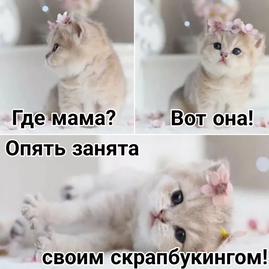 FavOBEuHHAk.jpg