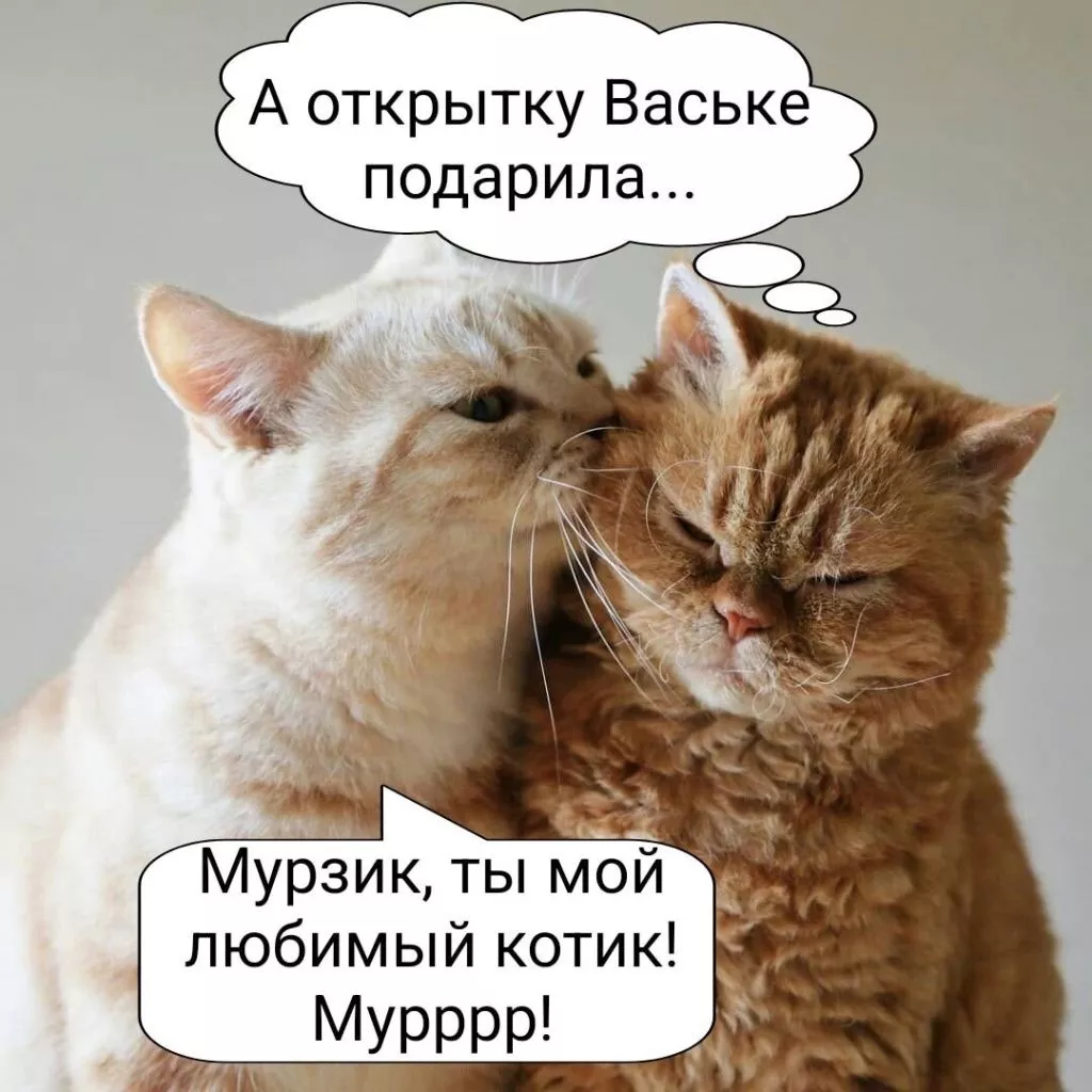 NWrM-ZUbVlk.jpg
