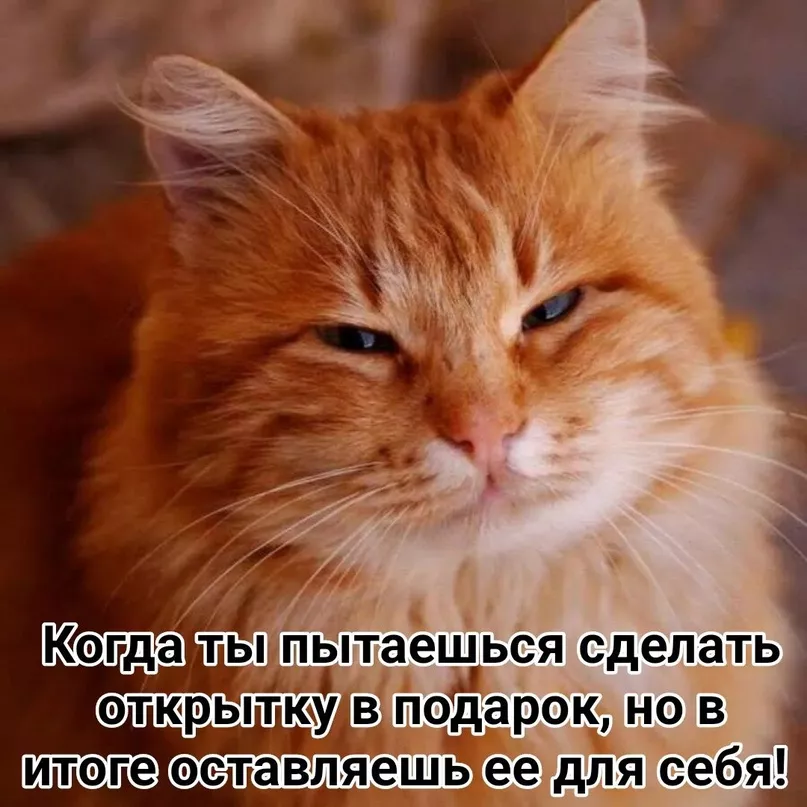 jQGIdLZmnsM.jpg