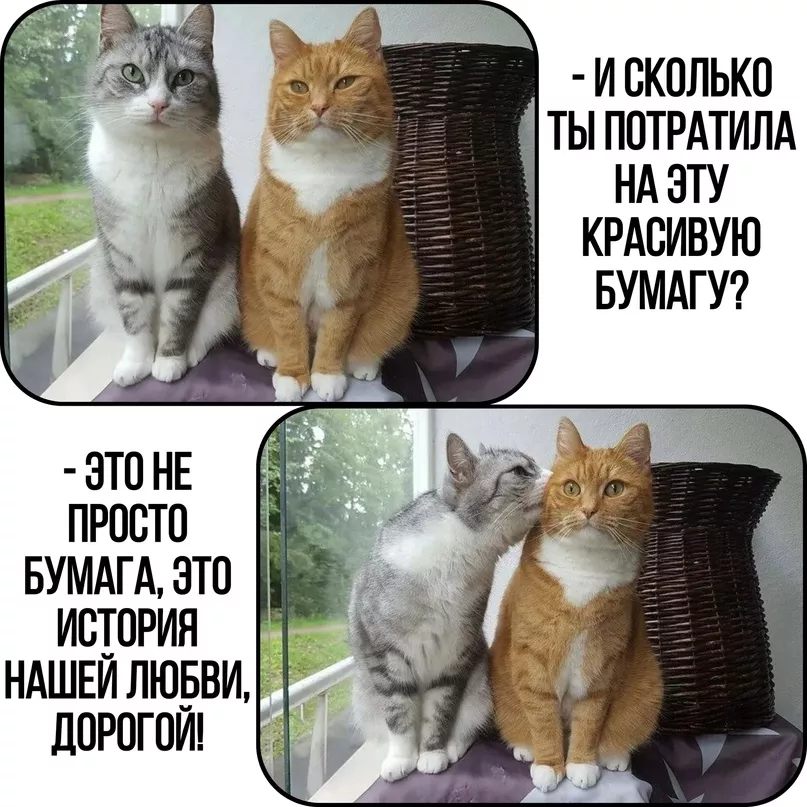 r1LmslQrSXU.jpg