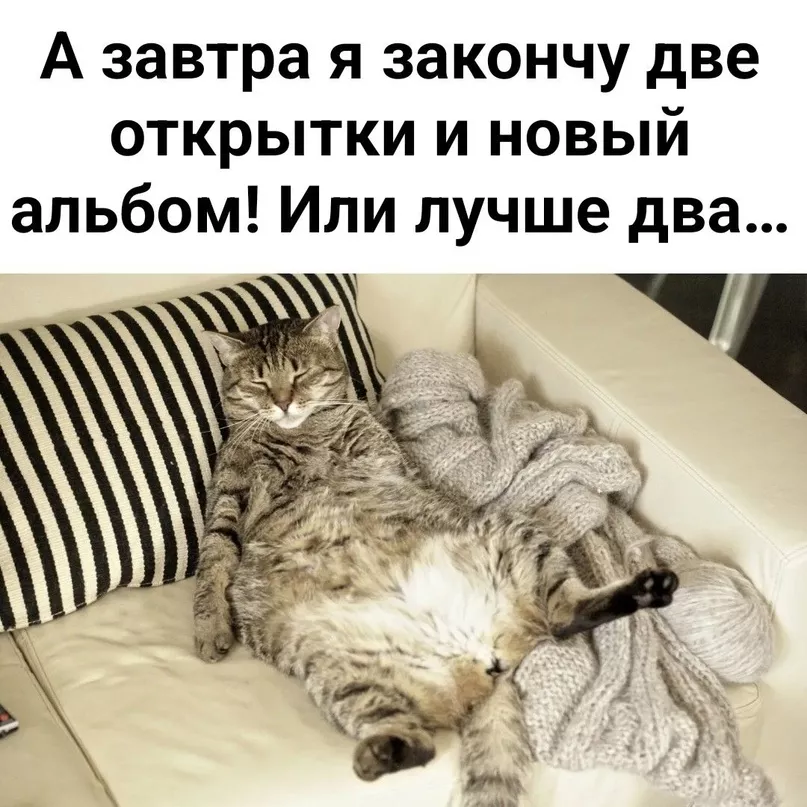 evHzCzRf7fA.jpg