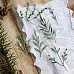 Набор ножей для вырубки "Вивьен" (Scrapfriend)