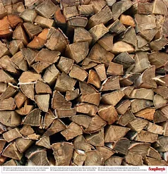 Бумага "В лесу. Опушка леса" (ScrapBerry's)