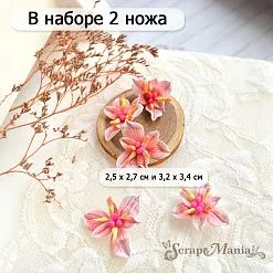 Нож "Сусак зонтичный", 3,2х3,4 см (ScrapMania)