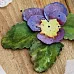 Нож "Анютины глазки", 3х3 см (Scrapfriend)