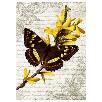 Тканевая карточка "Красота природы. Притягательный нектар" (ScrapMania)