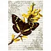 Тканевая карточка "Красота природы. Притягательный нектар" (ScrapMania)