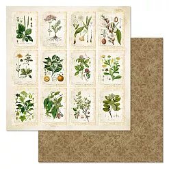 Набор бумаги 20х20 см "Заповедник", 12 листов (ScrapMania)