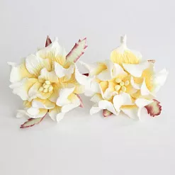 Гардения "Белая с желтым", 1 шт (Craft)