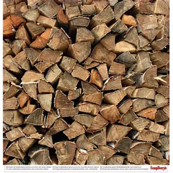 Бумага "В лесу. Опушка леса" (ScrapBerry's)