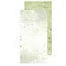 Набор бумаги 30х15 см "Greenery invitation. Basic", 18 листов (CraftO'clock)