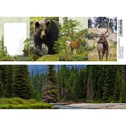 Лист с картинками 10х30 см "Тайга. Карточки. Олень и медведь" (ScrapMania) Лист с картинками 10х30 см "Тайга. Карточки. Олень и медведь" (ScrapMania)