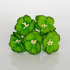 Букет вьюнков "Зеленый", 5 шт (Craft)