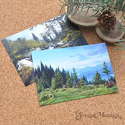 Набор карточек "Тайга", 7х10 см, 16 шт (ScrapMania)