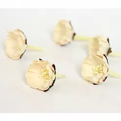 Цветок шиповника "Молочный", 1 шт (Craft)