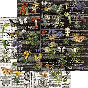 Бумага 30х30 см "Botany" (SunnyCraft)