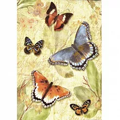 Набор бумажных карточек "Бабочки" Набор бумажных карточек "Бабочки"