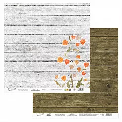 Набор бумаги 30х30 см "Физалис", 7 листов (Mr.Painter) Набор бумаги 30х30 см "Физалис", 7 листов (Mr.Painter)