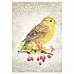 Тканевая карточка мини "Летнее настроение. Птенец" (ScrapMania)