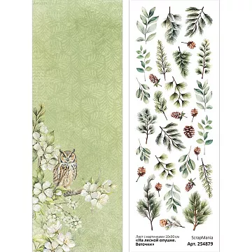 Лист с картинками 10х30 см "На лесной опушке. Веточки" (ScrapMania)