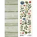 Лист с картинками 10х30 см "Ботаника. Дикие цветы" (ScrapMania)
