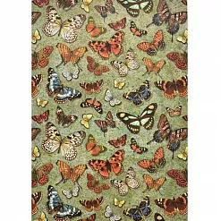 Набор бумажных карточек "Бабочки" Набор бумажных карточек "Бабочки"