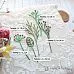 Нож "Длинные растения. Букет из пяти веточек", 3х7,8 см (ScrapMania)