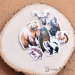 Набор высечек из бумаги "Заповедник", 43 шт (ScrapMania)