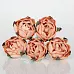 Букет ранункулюсов "Персиковый", 5 шт (Craft)