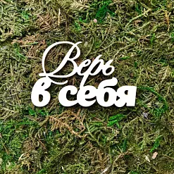 Чипборд "Верь в себя", 5,7х3,5 см (Белый кот)