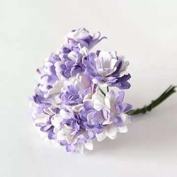 Букет астр "Сиреневый с белым", 10 шт (Craft)