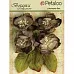 Набор объемных цветов "Botanica Blooms. Charcoal" (Petaloo) Набор объемных цветов "Botanica Blooms. Charcoal" (Petaloo)