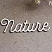 Украшение из чипборда "Nature" (Fantasy)