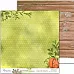 Бумага 20х20 см "Домик лесника. Базовый 06" (Muscari)