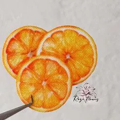 Набор высечек из ткани "Тропический вкус", 18 шт (RozeFlowers)