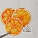 Набор высечек из ткани "Тропический вкус", 18 шт (RozeFlowers)