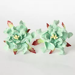 Гардения "Мятная двухтоновая", 5 см, 1 шт (Craft)