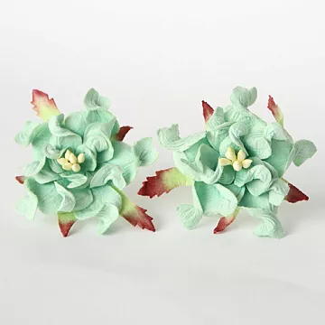 Гардения "Мятная двухтоновая", 5 см, 1 шт (Craft)