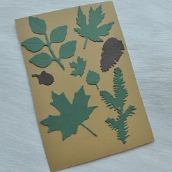 Набор вырубок "Гербарий. С шишкой"