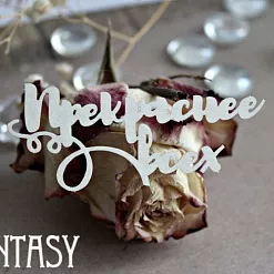 Украшение из чипборда "Прекраснее всех" (Fantasy) Украшение из чипборда "Прекраснее всех" (Fantasy)