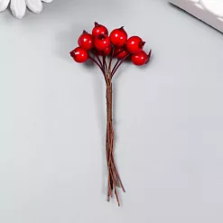 Букет ягод "Ягодки красные"