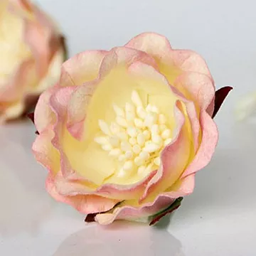 Цветок полиантовой розы "Розовый с кремовым", 1 шт (Craft)